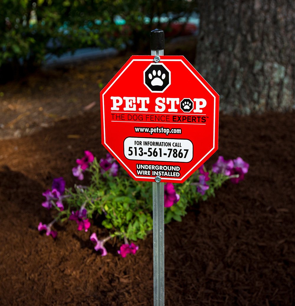 Reliable Dog Fence Installation Services in Oak Creek WI